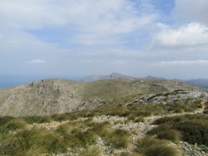 IMG_4798 (Medium)